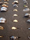 Vintage RING LOT OF 66 PCS. Untested. — photo 8