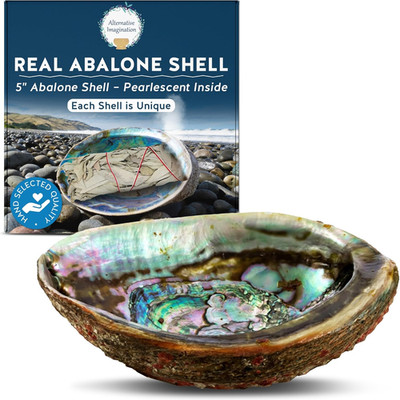 Large Abalone Shell 6 + Polished Mother-of-Pearl Incense Smudge Dish Decor