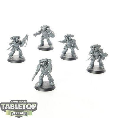 Space Marines - 5x Heavy Intercessors - unbemalt