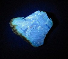 +++ Bernstein (UV) -- Sumatra, Indonesien +++ 24 ct +++ blau fluoreszierend