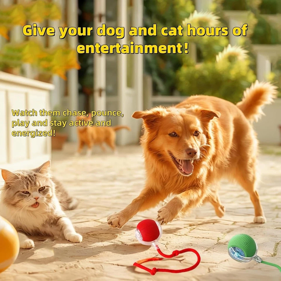 Automatic Rolling Ball Smart Cat Dog Toy Electric Pet Selfmoving Kitten Game Lot - Image 2 of 4