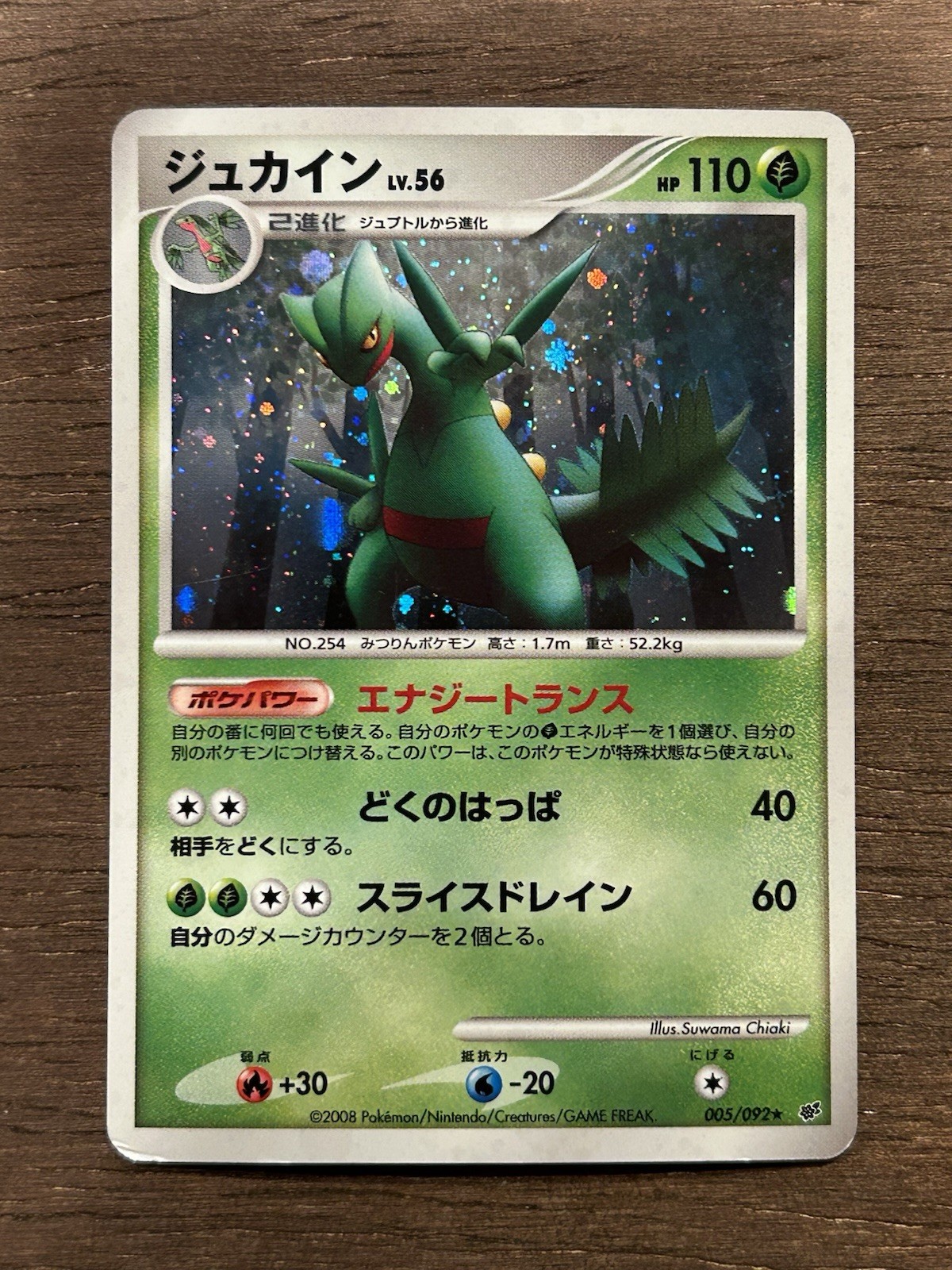 MP Sceptile 005/092 Stormfront HOLO RARE 2008 Japanese Pokemon Card