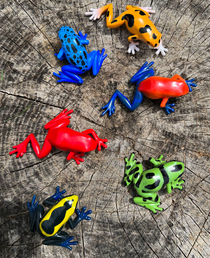 Dart Frogs - Safari PVC | eBay