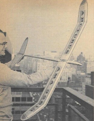 Arcturus FF Glider 50'' Wing RC Model Airplane Printed Plans & Templates