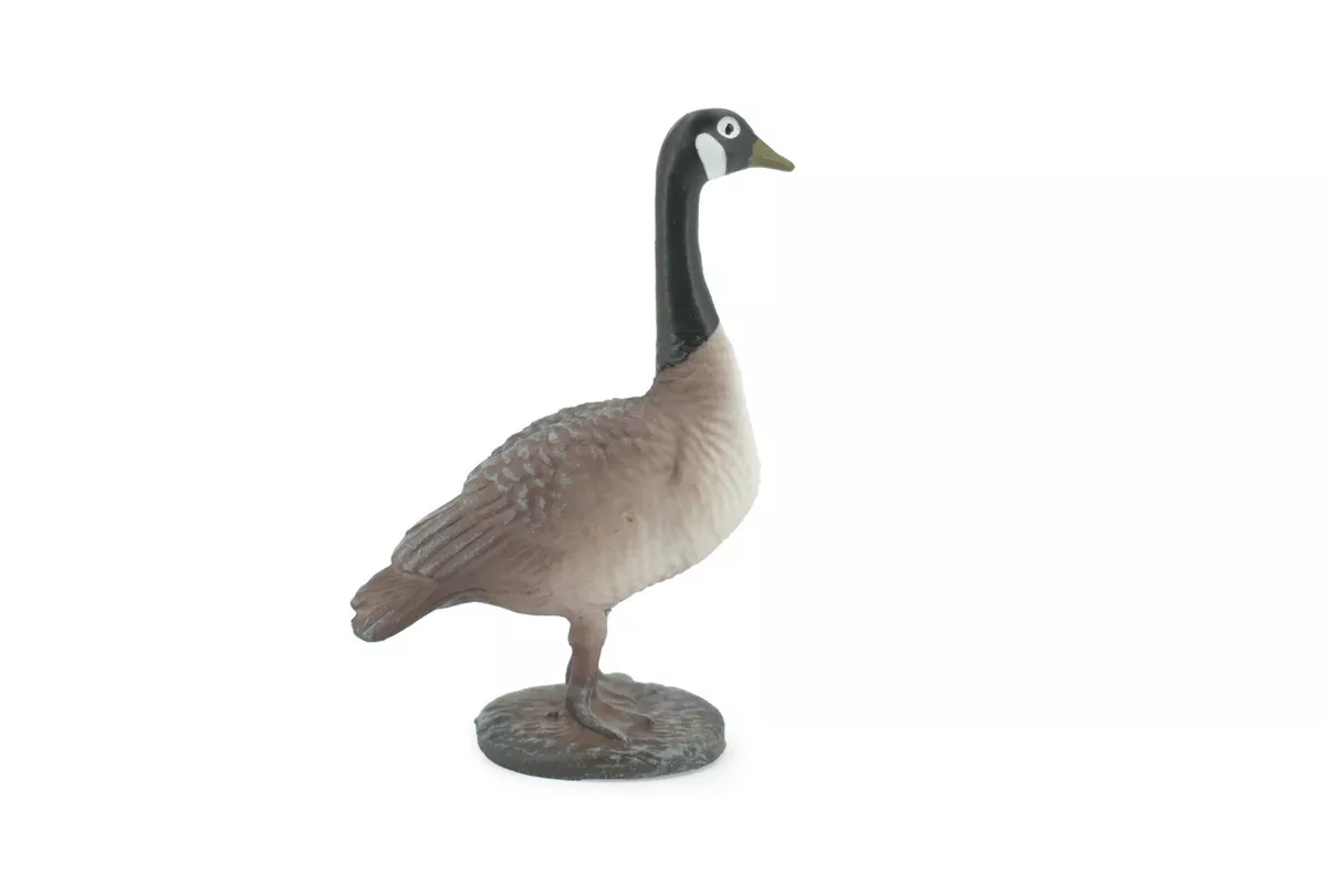 Canada goose 3 in 1 clearance ebay
