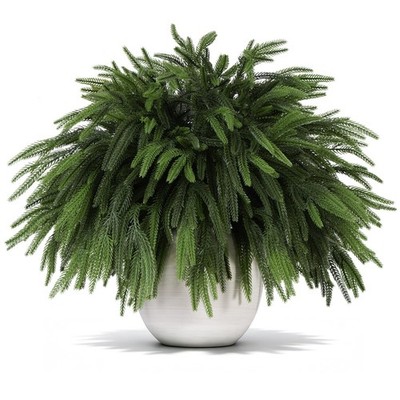 FLAGLY 12 Pcs Norfolk Pine Branches 18'' Artificial Greenery Indoor Outdoor Decor