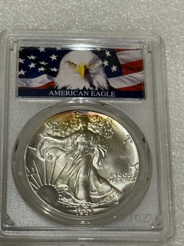 1987 Silver Eagle PCGS MS69 ~~ Rare Eagle / Flag Label ~~  Nice Toner ~~ (322)