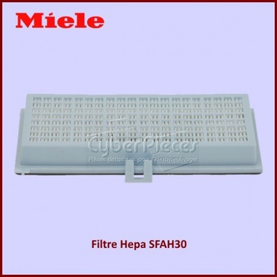 PATONA - Filtro HEPA Miele SF-AA30 Para C1/S300/S2000/S7000 De Carbono