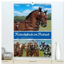 Kutschpferde im Portait (hochw…