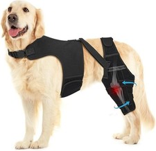 PawFun Dog Knee Brace for Torn ACL Hind Leg with 4 Metal Stabilizers XL