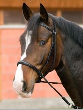 USG Connection gebissloser Trensenzaum mit Zügeln Gr. Vollblut & Warmblut