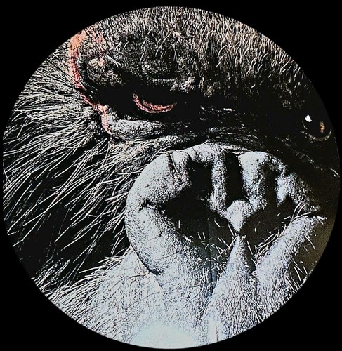 KING KONG SKULL ISLAND MEGA POSTER 3,6×2,4 METER!!WETTERFEST ABSULUTE RARITÄT - Bild 5 von 5