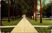 1910 Campus Walkway Ann Arbor University Michigan Postcard E87