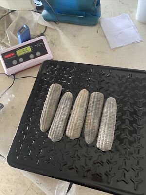 Pure Soft Lead Ingot