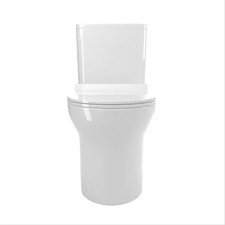 Floor Mounted 12 In. 1-Piece 1.1/1.6 GPF Dual Flush Elongated Toilet in White Se