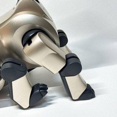 Sony AIBO ERS-210 Champagne Gold Entertainment Robot Dog | eBay