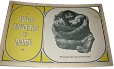 1974 Wild Animals at Home Koalas Chimps Bison Peacock Whimsical Illustrated