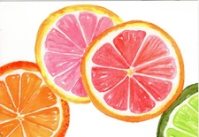 Citrus Watercolor Wall Art: Vibrant Orange, Grapefruit, Lime Slices Print 8 x 10