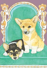 Corgi Welsh Pembroke Birthday Card 5 x 7 with Envelope