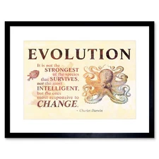 Evolution Darwin Responsive Change Strongest Quote Octopus Art Framed Wall Art P