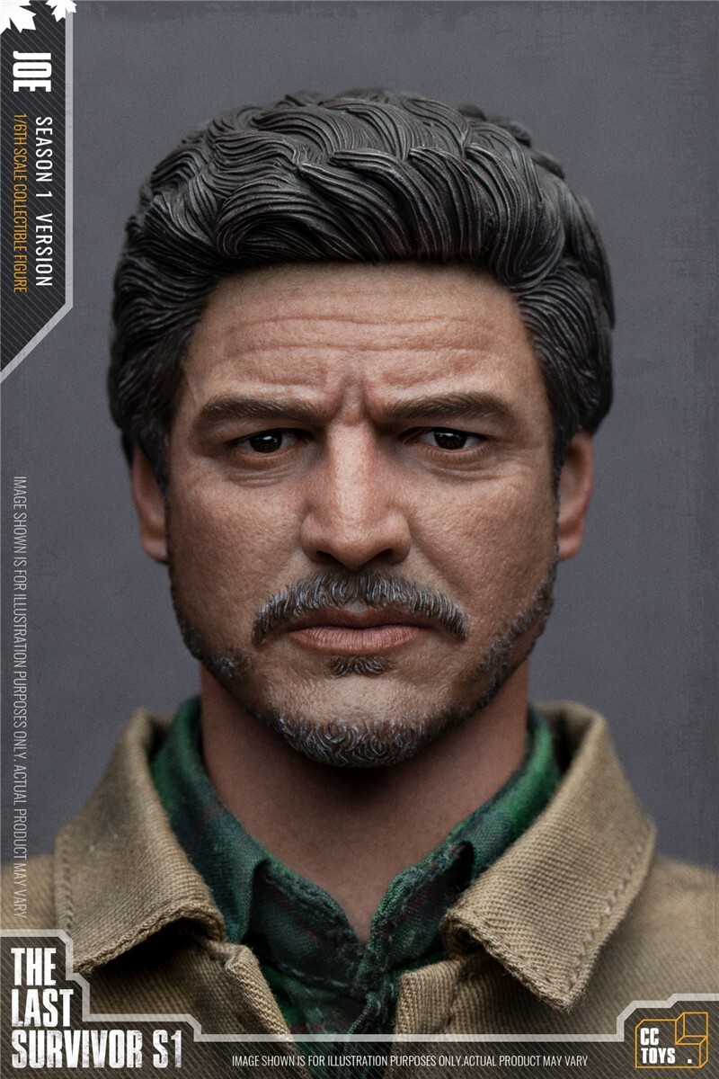 CCTOYS 1/6 Scale HE LAST SURVIVOR JOE 新品 s-l1200.jpg
