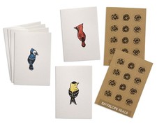 Brightly Colored Birds Note Cards Set - 24 Blank Bird Greeting Cards with Env...