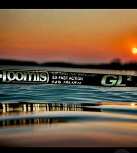 G Loomis Gl2 | eBay