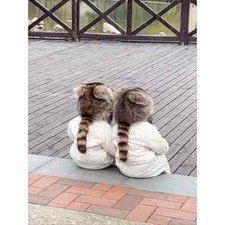 Adult Anti Cold Little Raccoon Tail Hat Winter Children Warm Cute Fur Hat