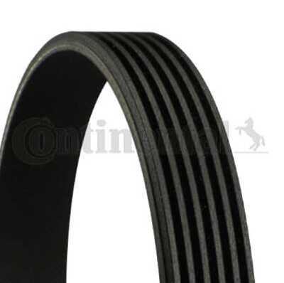 Original CONTINENTAL - 6PK923 - Keilrippenriemen