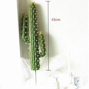 monstera plantsome Monstera Deliciosa | Swiss Cheese Plant | 6