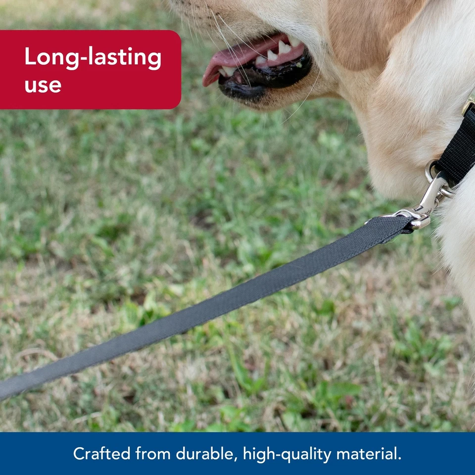 Correa para perro Coastal Pet de una sola capa - Correa resistente para mascotas - Objetivo cómodo Foto 3 de 4