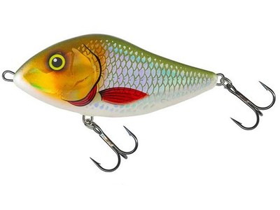 Salmo Slider 10cm 36g SD10F Floating Köder Jerkbait Hecht Zander Bass NEU FARBEN