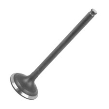 Exhaust Valve for Honda TRX250 Fourtrax 250 2X4 1985 1986 1987