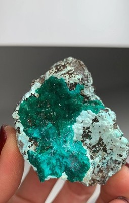 Emerald Green Dioptase   Lustrous Crystal Specimen
