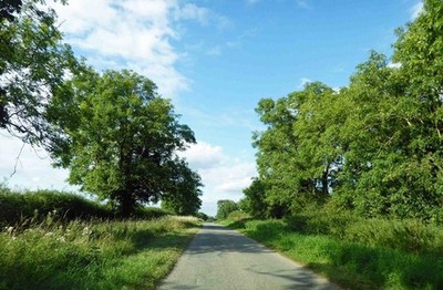 Foto 6x4 Geradeaus auf Nebenstraße Old Woodhall c2017