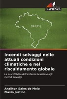 Incendi Selvaggi Nelle Attuali Condizioni Climatiche E Nel Riscaldamento Globale