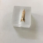 Sheaffer Lady Gold nib 14k Medium only as Mint USA