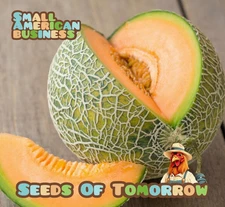 55 Minnesota Midget Melon Seeds- With Bonus! |Organic Non-GMO Heirloom 