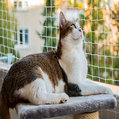 Aiygo Cat Balcony Netting 10 26Ft Cat Anti-Fall Netting Duralble Nylon Balcony