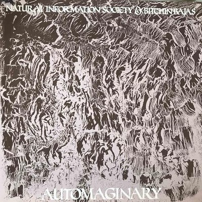 NATURAL INFORMATION - AUTOMAGINARY - C-90 FERRIC - F123z
