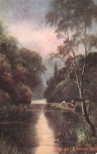 Sunrise on a Creek Pastoral Cows Cattle Serenity Peace Morning Vtg Postcard F2