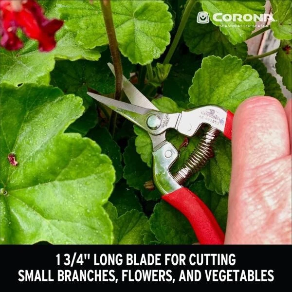 Nuevo Corona Acero Inoxidable Largo Corte Recto - Herramienta de Corte de Precisión Foto 4 de 4