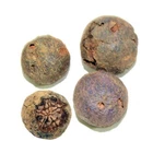 100% Raw and Original Rudraksha Beads Fruit from Nepal | Holy Shiva Worship Bead