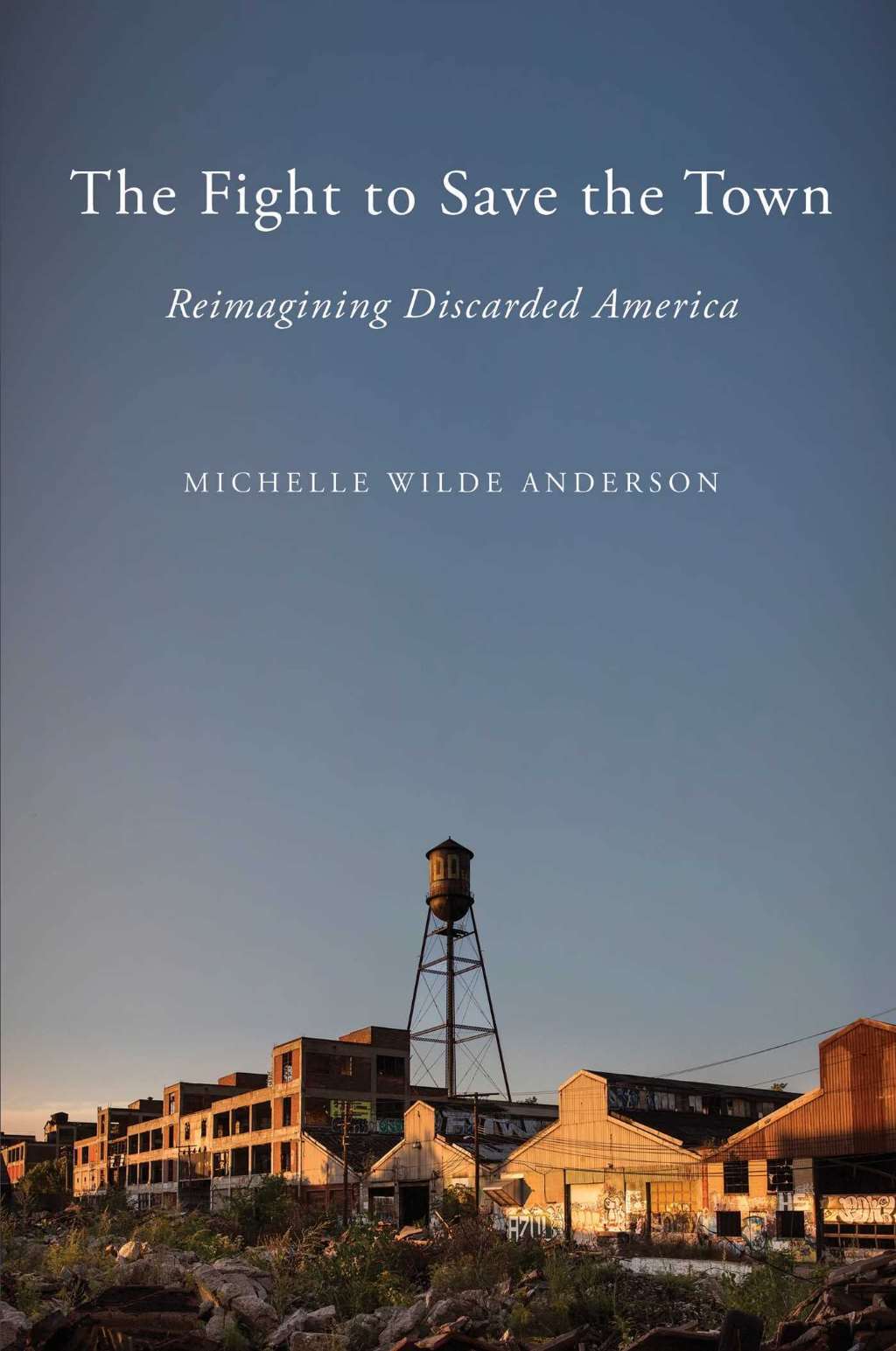 The Fight to Save the Town: Reimagining Discarded America, Wilde Anderson, Miche
