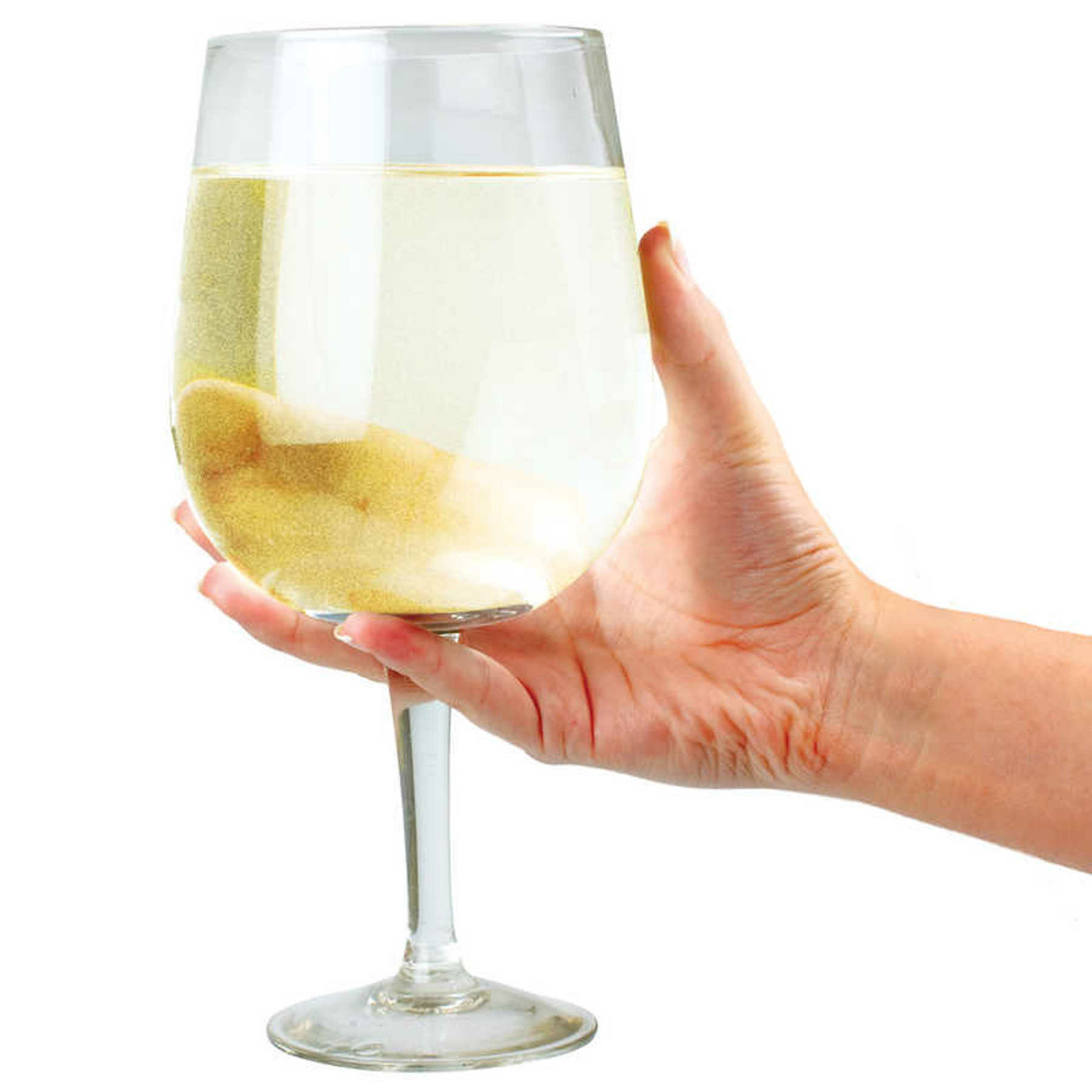 Giant Wine Glass Party Spirit Birthday Dinner Evening Gift Present Lady Mrs Ms