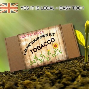 smoking tea leaves vs tobacco Marijuana vs. Tobacco Differences