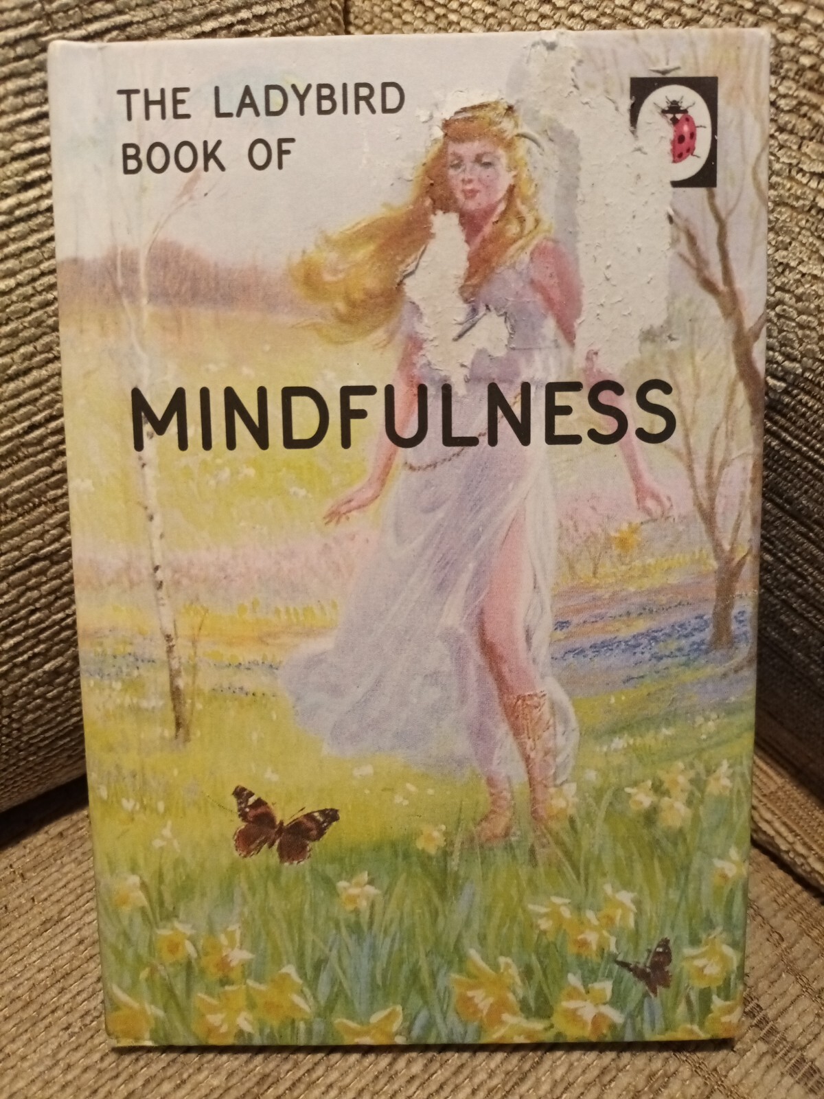The Ladybird Book of Mindfulness (Ladybird Books for Grown-Ups) by Morris, Joel,