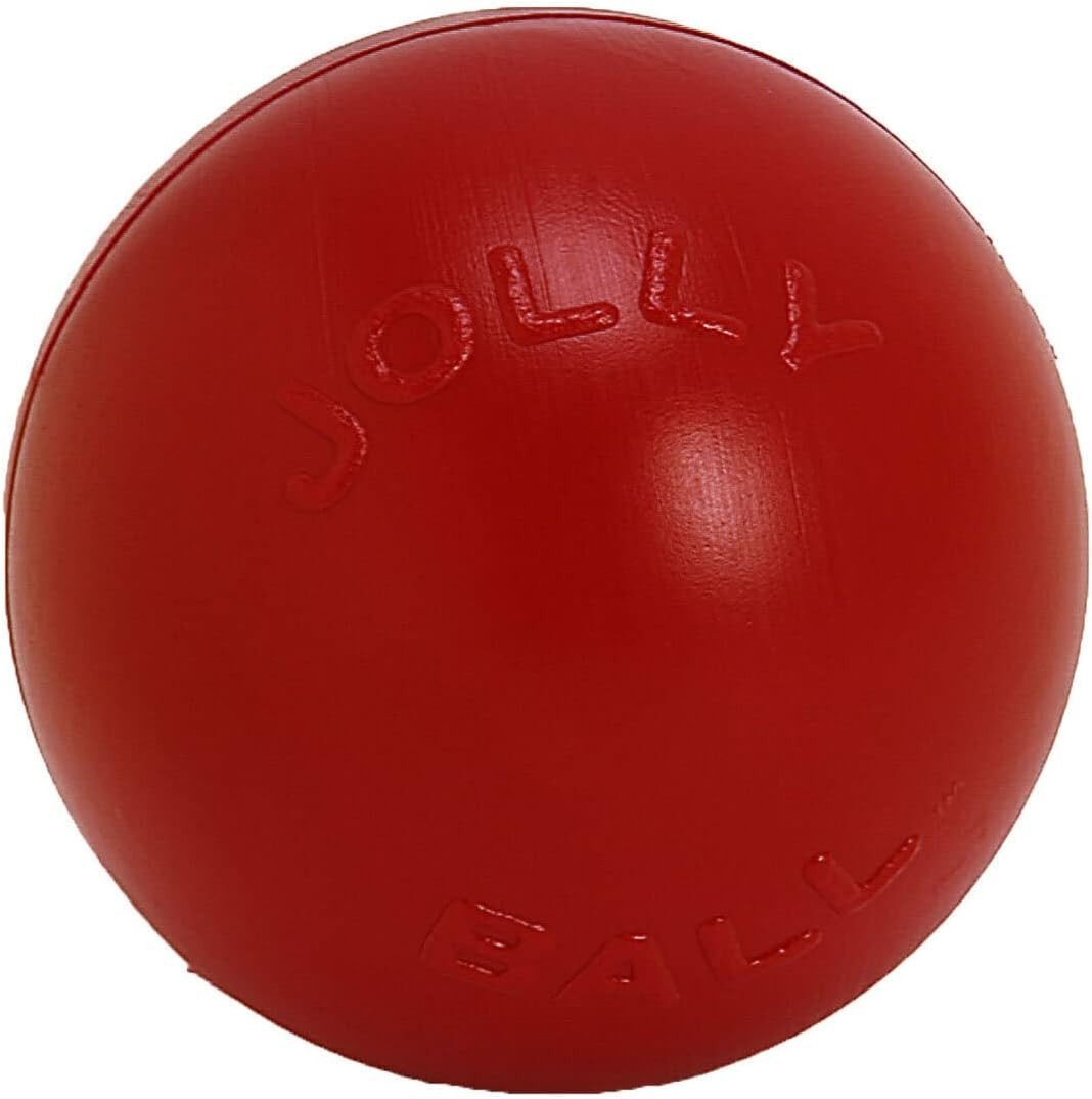 6 Inch Push N Play Ball Dog Toy Medium Herding Chasing Floating Tough Red