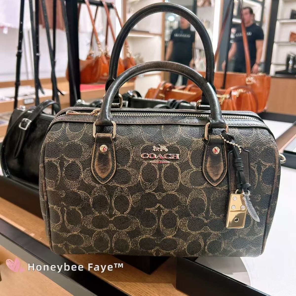 COACH ダークブラウン（ぴぃちゃん） Nwt Coach Rowan Satchel Bag CDY16 | eBay