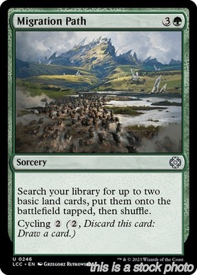 Migration Path [LCC - 246MagicNM